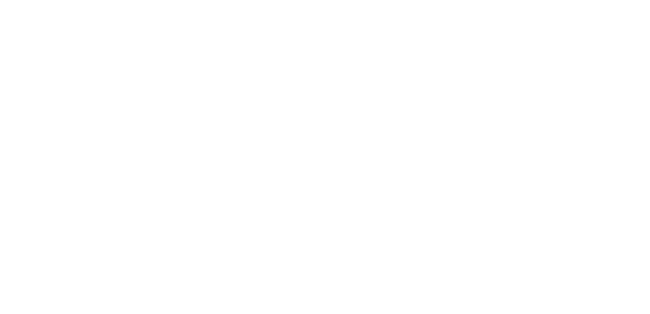 Team verksted logo
